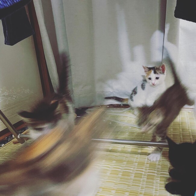 yo_u.のカバー写真
