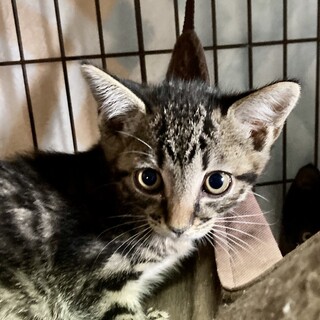 ハンモックからこんにちは！シャイボーイ颯人くん