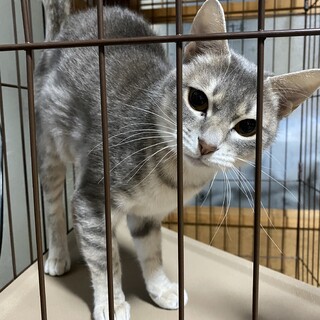 出産経験済みのまだ若いまりちゃん