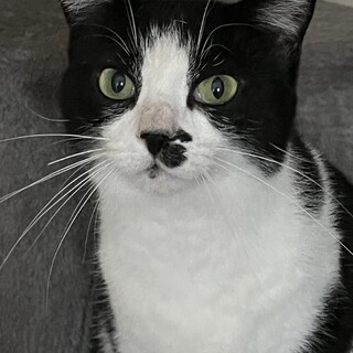 癒し系のお勧め　とても可愛いりりちゃん