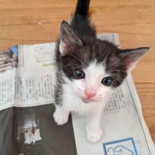 お目目くりくりの甘えん坊男の子