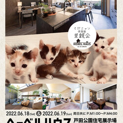 とだニャン保護猫里親会