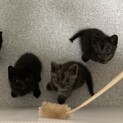 海❤️天❤️月❤️  兄弟　１ヶ月半