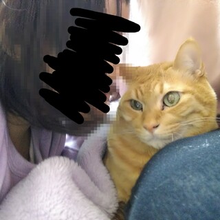 自己肯定感高い甘えんぼ