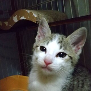 ちょっと写真写りがイマイチ