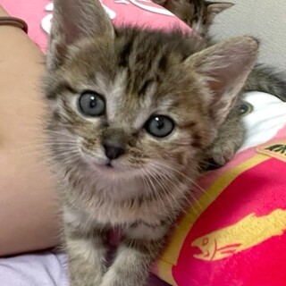 募集停止遊ぶ事が大好き女子❤️あやか