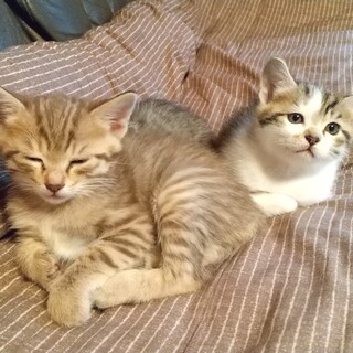 仲良し姉妹です～。