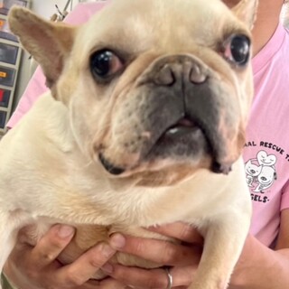 22-W368 大人しいお嬢様♪♪