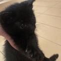 人懐っこい元気な男の子