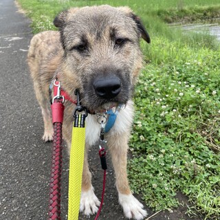 「バズ」男の子