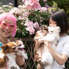 よしよし44