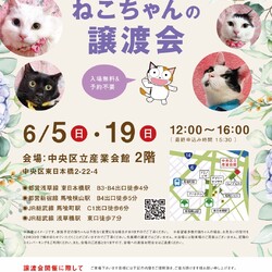 ねこざんまい譲渡会@東日本橋