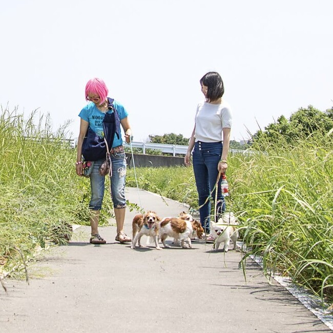 よしよし44のカバー写真