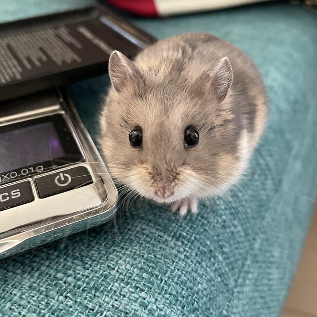 みやーんんのカバー写真