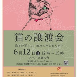 猫の譲渡会　小平