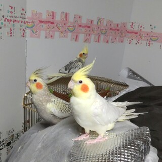 たくさんのご応募ありがとうございました