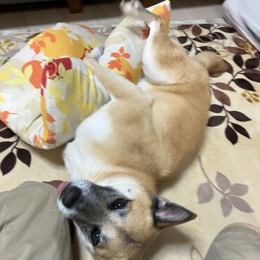 (*´-`)