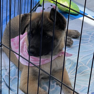 幼顔でとっても可愛い女の子、みづきちゃん