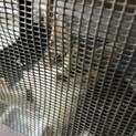 ⭐︎里親募集⭐︎