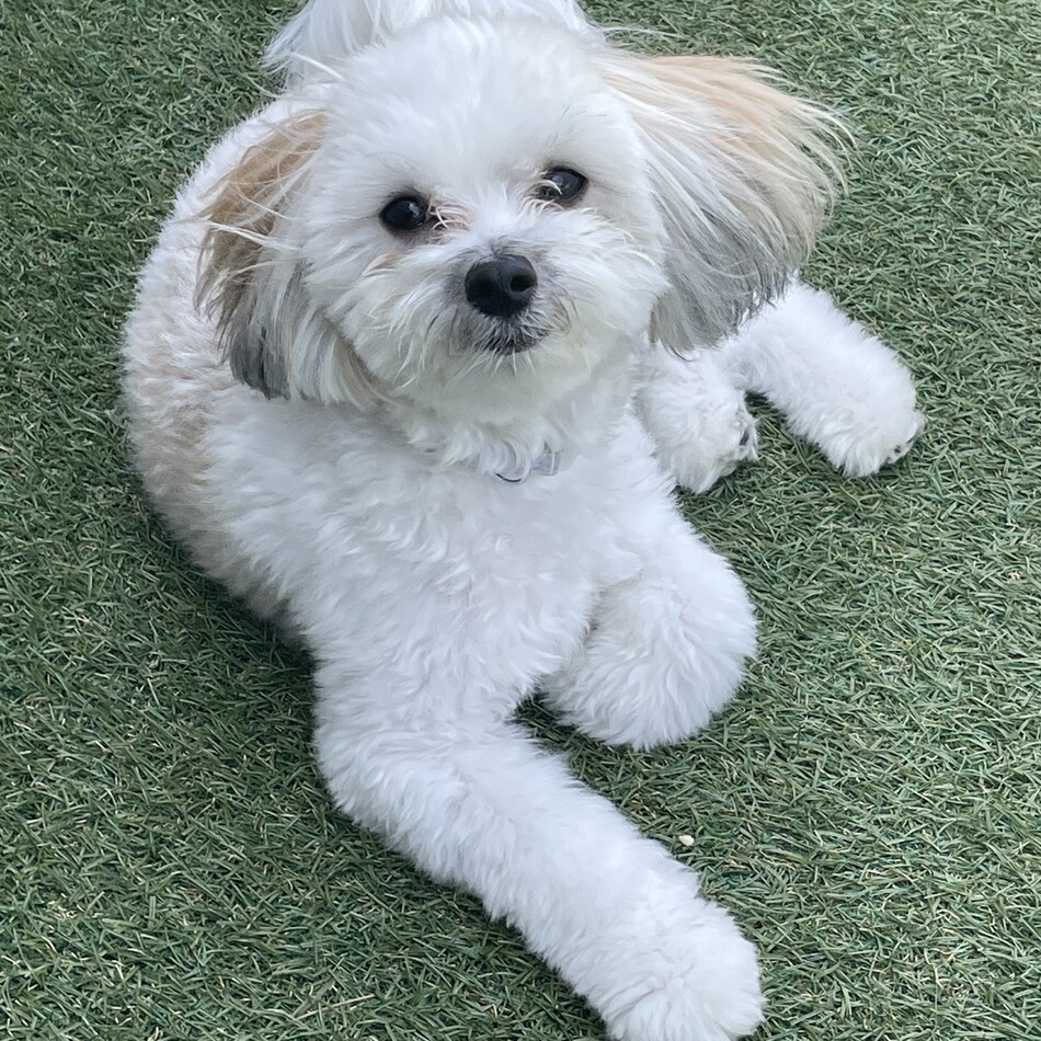うゆのカバー写真