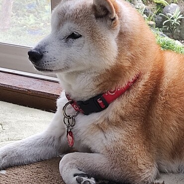 チャムまま(；´Д｀)大丈夫？？主婦の手の怪我は厳しいよね(ToT)お大事に‼