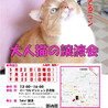 とっても懐っこくて優しいキジトラ猫のダイちゃん❣️ サムネイル7