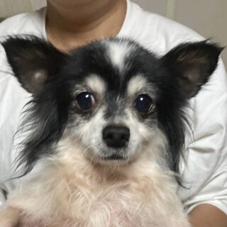 上原（うえはら）ちょっと大きめな優等生♪