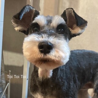 まるの家族を募集します。