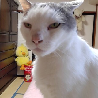 〝メロン君〟です♪