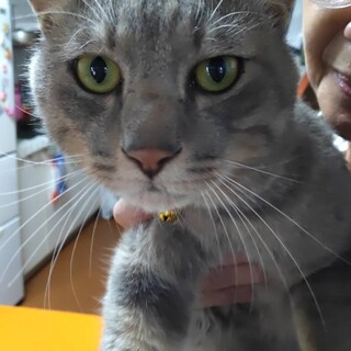 〝マロン君〟です♪