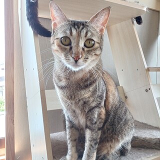 明るく元気な女の子