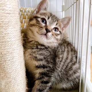 6/19西千葉ෆ⃛愛らしい弟気質ෆ⃛りつくん