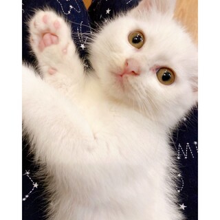 6/19西千葉ෆ⃛パワフル女子ෆ⃛おとちゃん