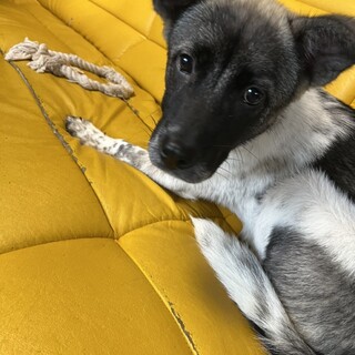 ✴︎募集停止します✴︎