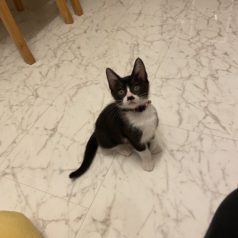 ソナのカバー写真