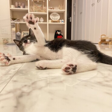 の写真