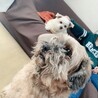 にあり