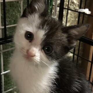 ナナメの前髪のナナミちゃん❤