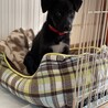 11/14 家族になった日