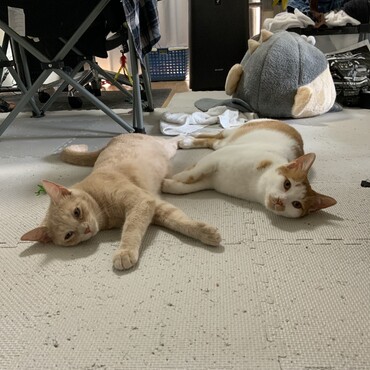 の写真