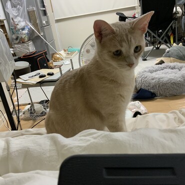 の写真