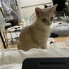 の写真