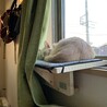 の写真