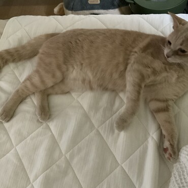 の写真