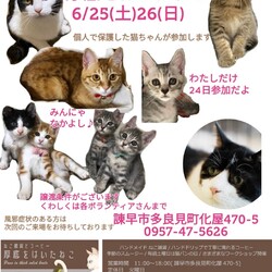 保護猫譲渡会in 厚底をはいたねこ