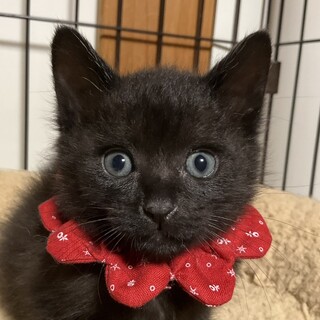 テディベアみたい♡ハッピーです♪