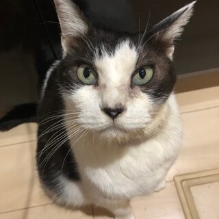 社長くん♂　ほんわか温か〜いハートの持ち主