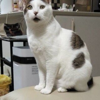 人慣れしていて甘えん坊さん♡マルくん
