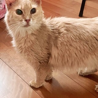 懐っこいソマリ女の子♪