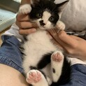 丸々な白黒くん♪
